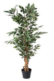 Kunstplant Ficus